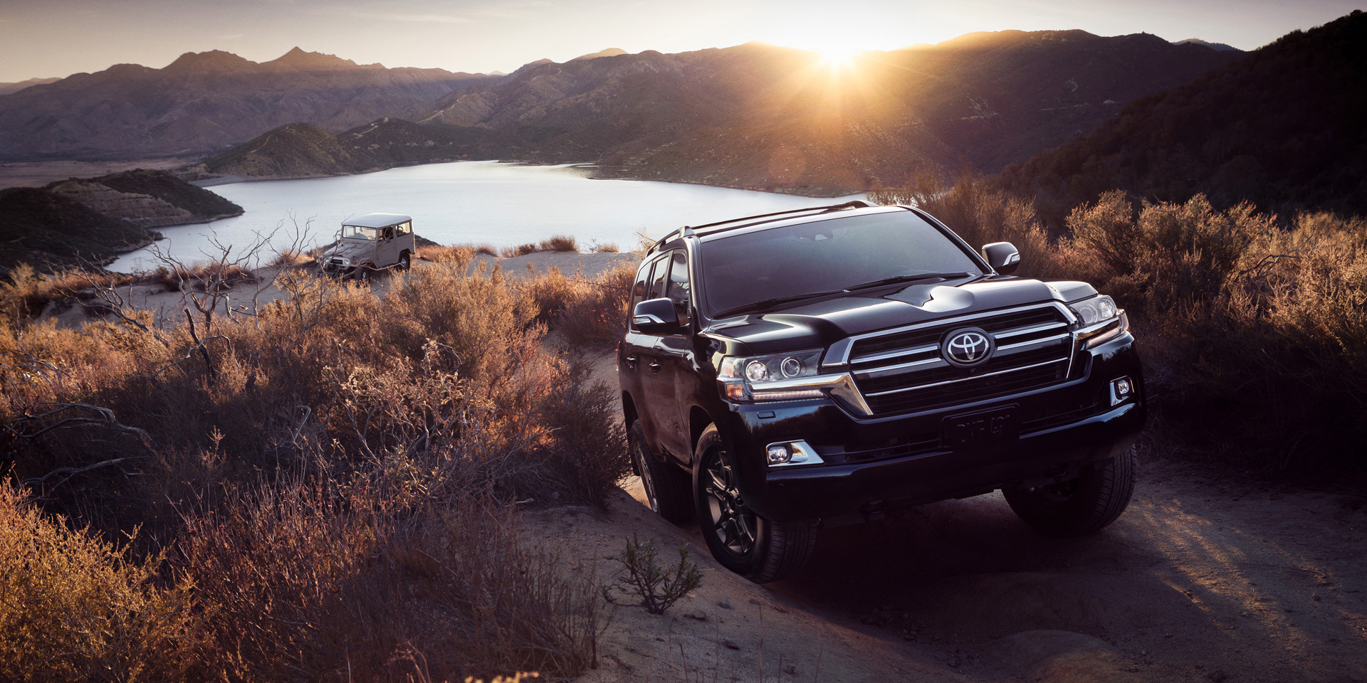 2020  toyota  land cruiser  vehicles on display